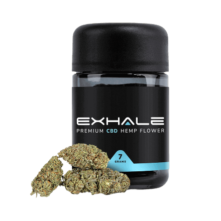 Exhale Wellness Northern Lights